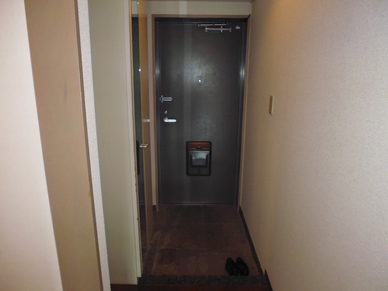 クリア氷川台 玄関