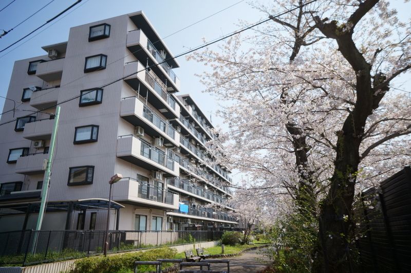 オーキッドレジデンス練馬北町 702号室 外観