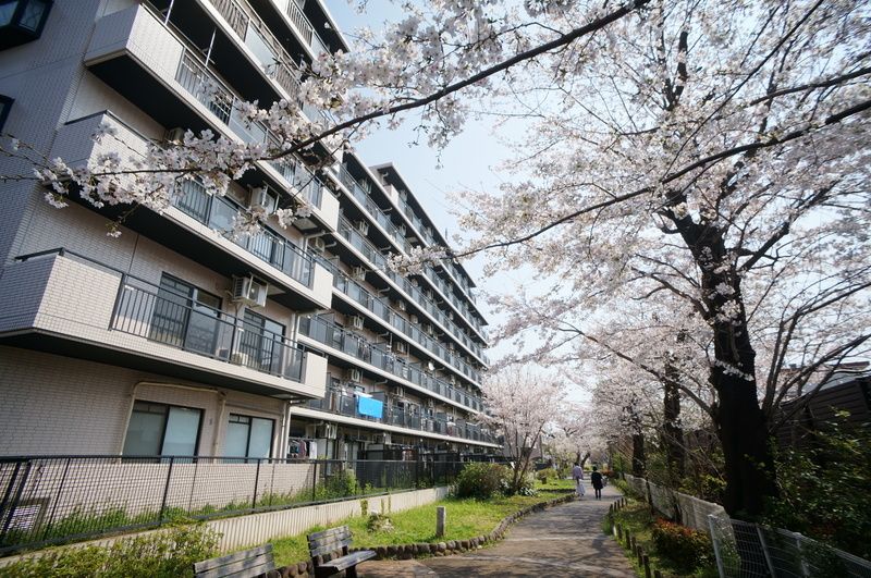 オーキッドレジデンス練馬北町 その他外観4