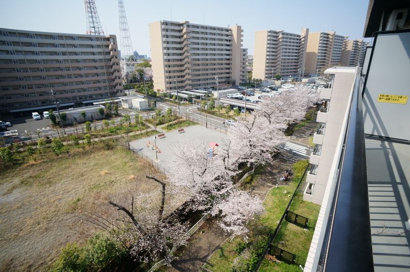 オーキッドレジデンス練馬北町 その他11