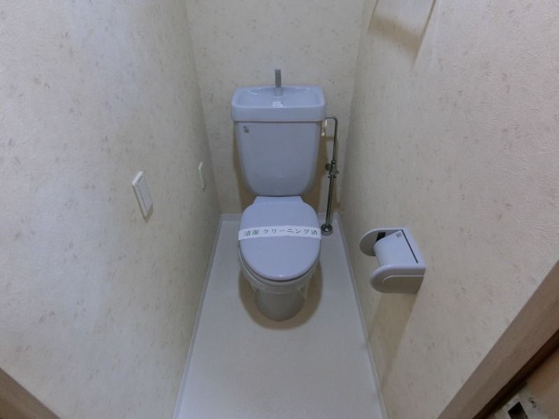 ハイグレード椿 その他2