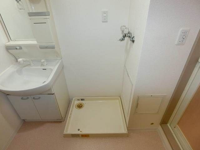 ハイグレード椿 その他2