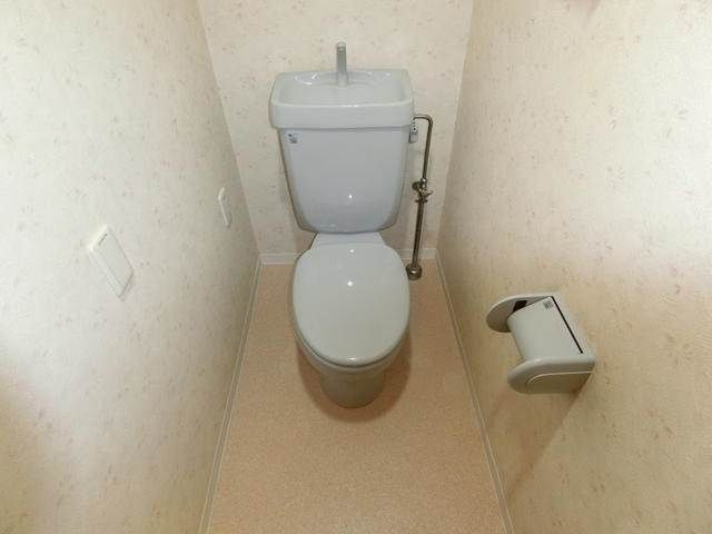 ハイグレード椿 その他3