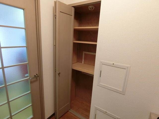 ハイグレード椿 その他9