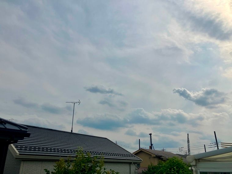 早宮戸建 その他8