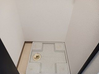 フェニックス・エルミタージュ その他
