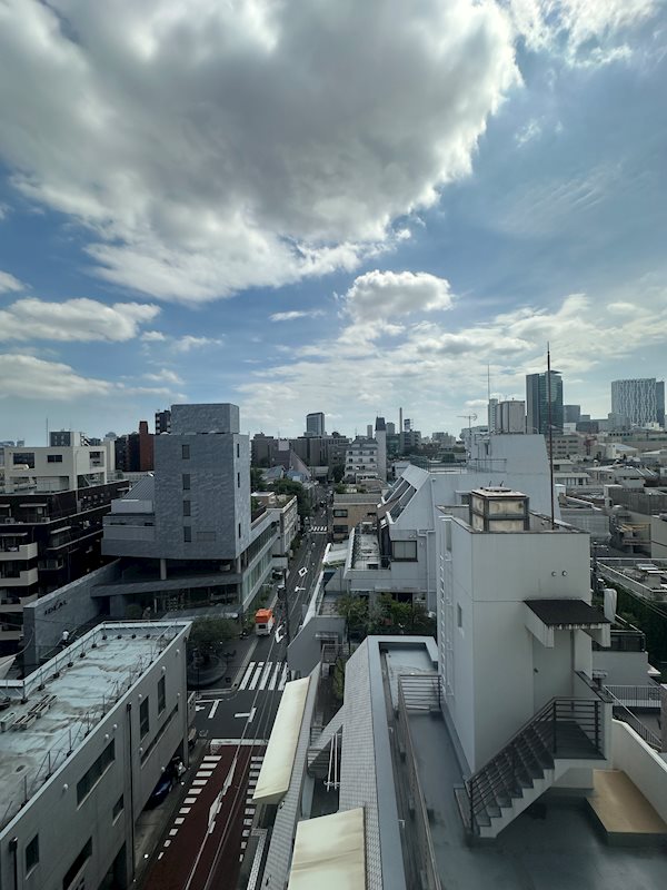ライオンズマンション南青山シドニービル 眺望