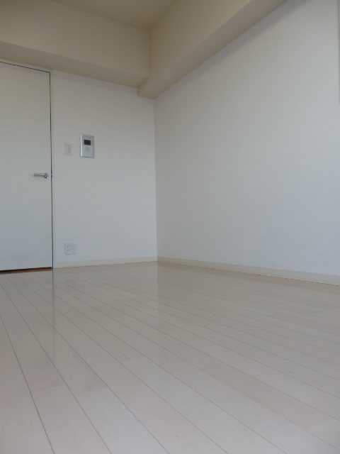 フェニックス川崎弐番館 リビング
