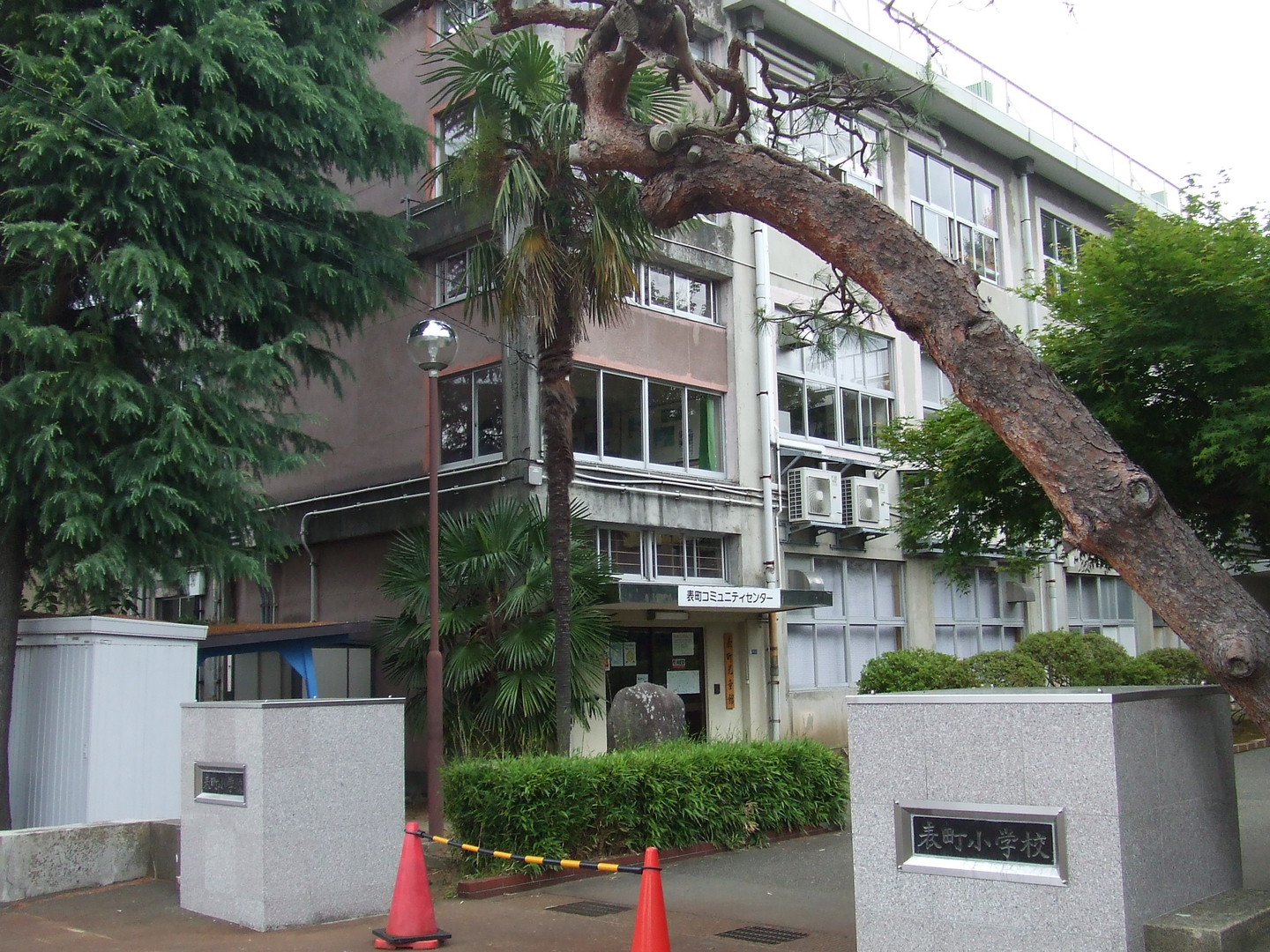 RitzⅡ 小学校