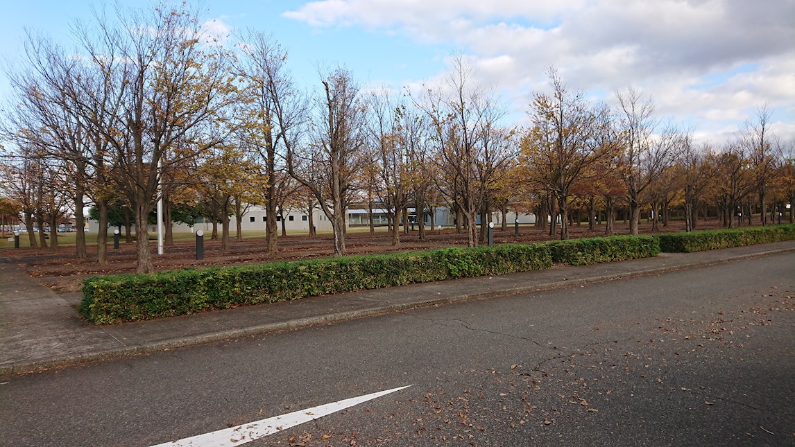 グリーンヒルズ丸山 大学・短大