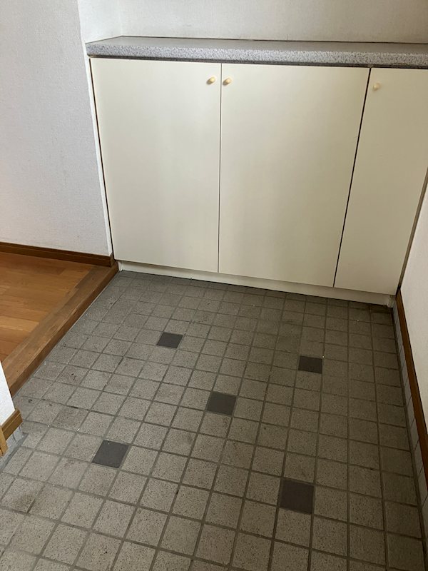 ダイアパレス平成通り 玄関