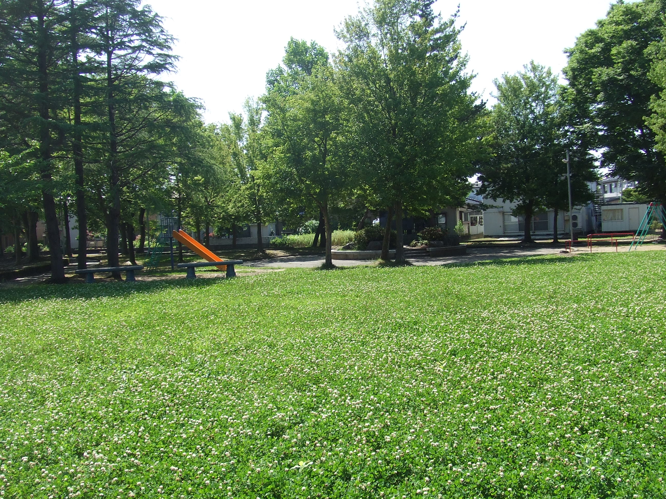 ロイヤルハイム藤 公園