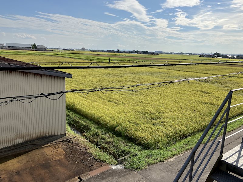 燕市松橋テナント（1棟貸し） その他