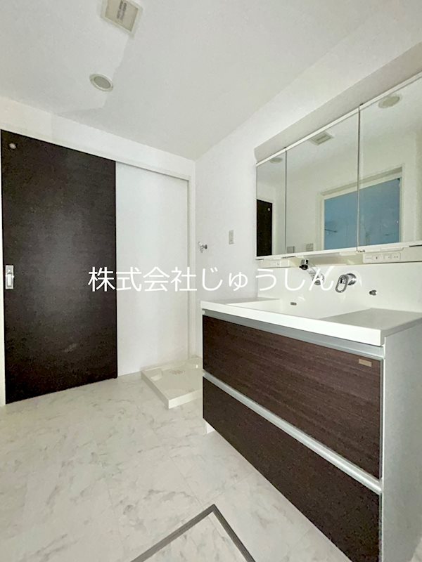 アルヴィータ元住吉 洗面所