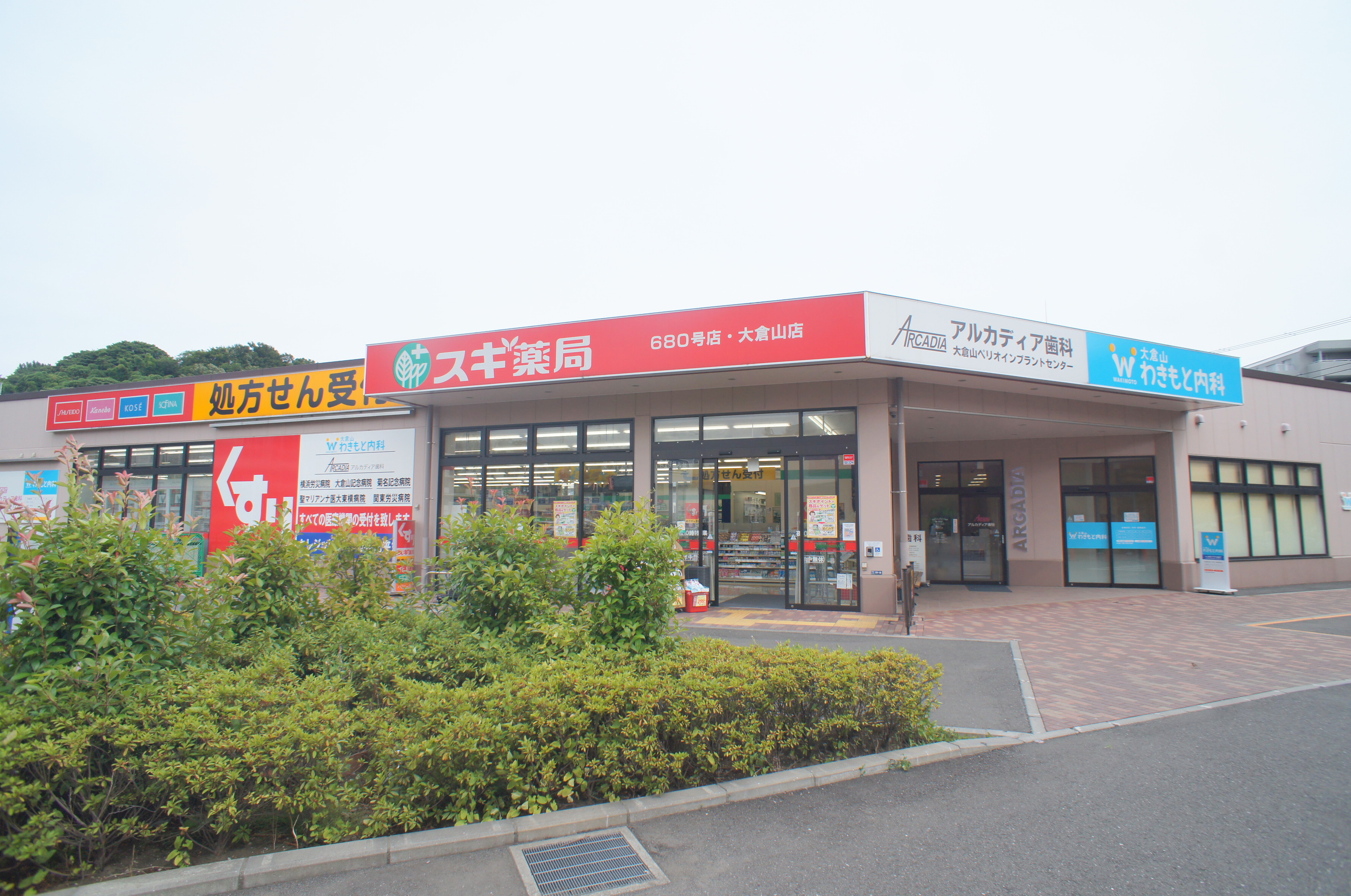Belle Lead 大倉山 ドラッグストア