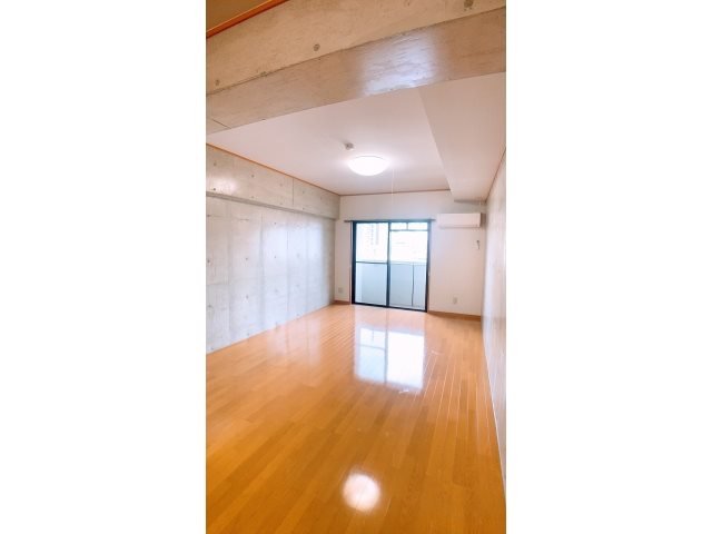ドリームメゾン篠田Ⅱ リビング