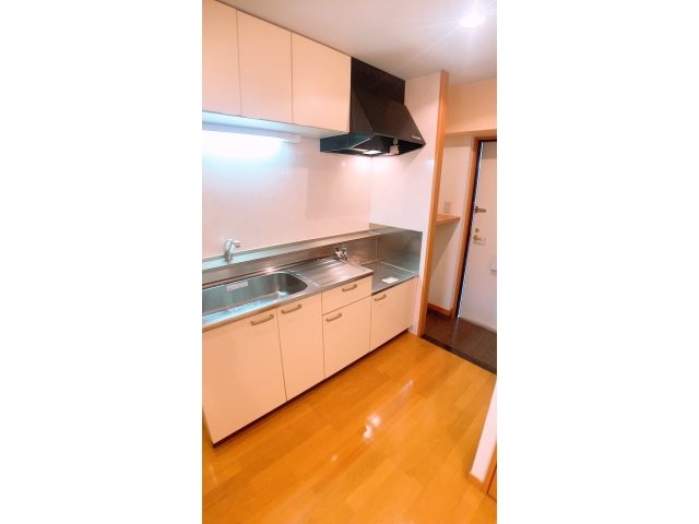 ドリームメゾン篠田Ⅱ キッチン