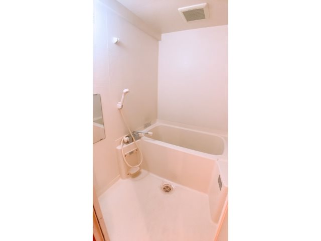 ドリームメゾン篠田Ⅱ 風呂画像