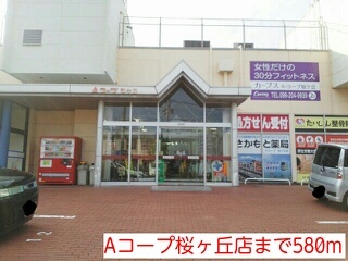 ドマ－ニＫ その他