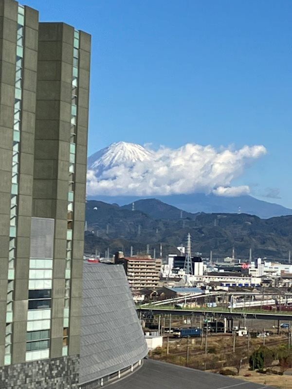 マークス・ザ・タワー東静岡 眺望