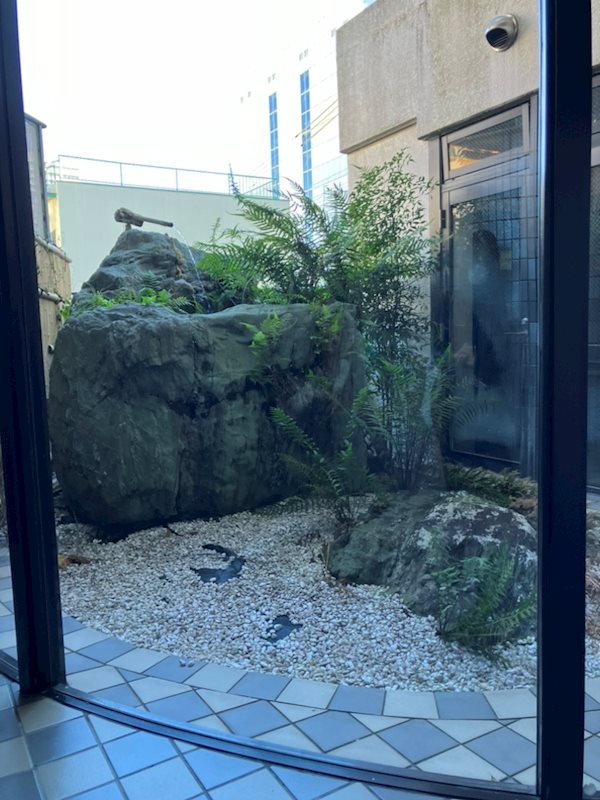 静岡県静岡市葵区鷹匠１丁目 庭