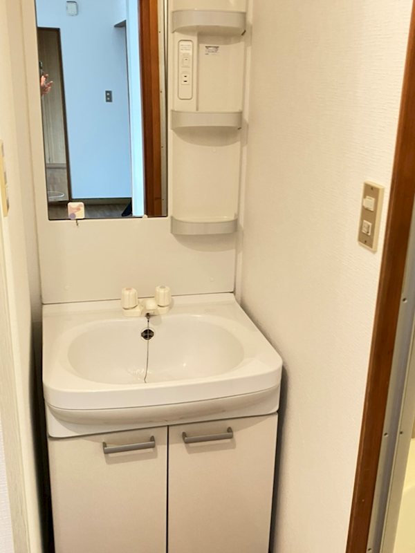 ハイツアオシマ 洗面所