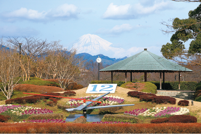 ハイツアオシマ 公園