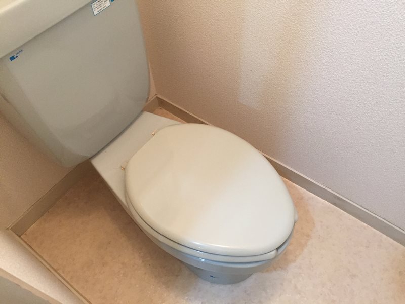 サニーハイツわし崎Ｂ トイレ