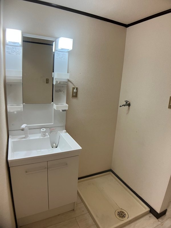 プチメゾンくれも 洗面所