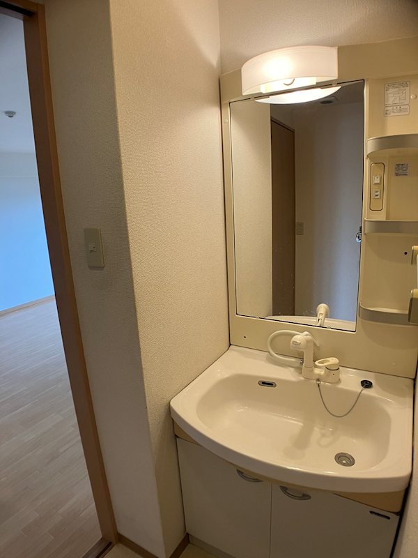 フロンティアエム 洗面所