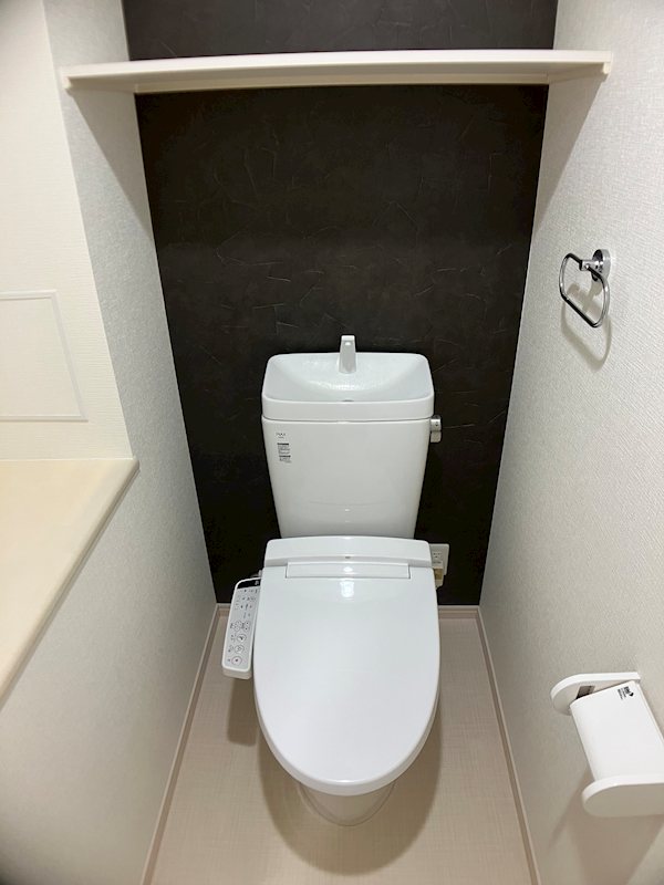 フロンティアききつⅡ トイレ