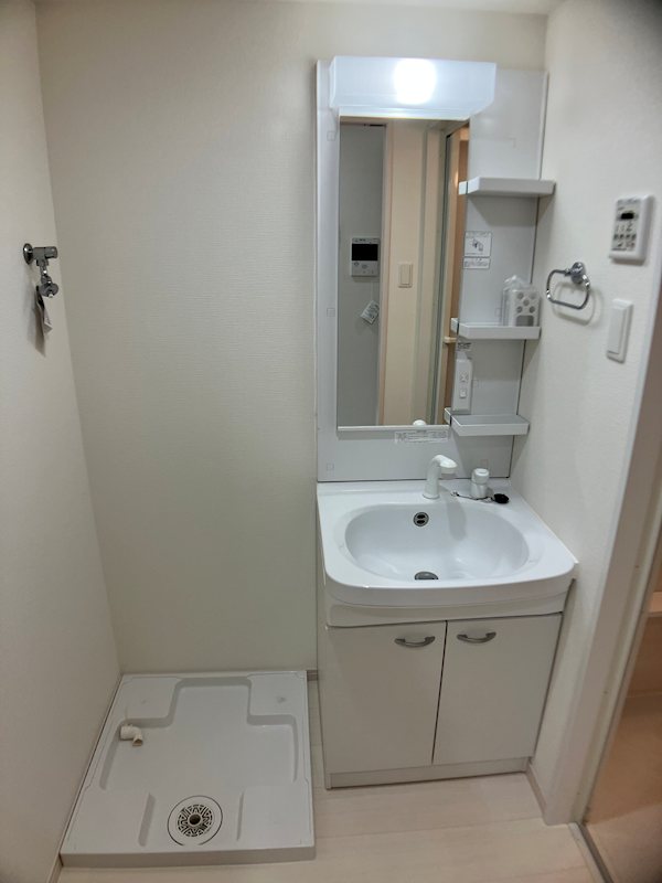 フロンティアききつⅡ 洗面所