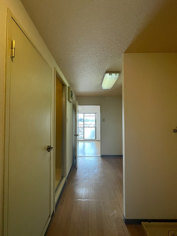 ホワイトパレス万年青 その他2