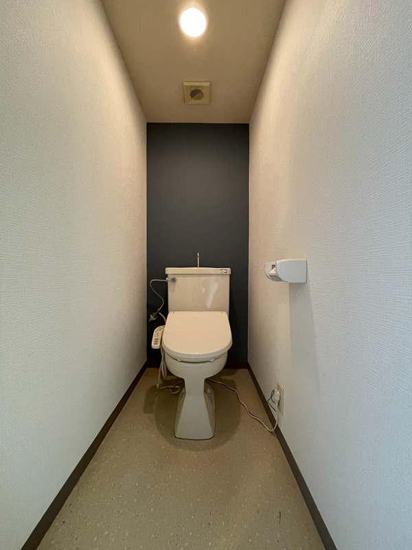 ホワイトパレス万年青 その他3