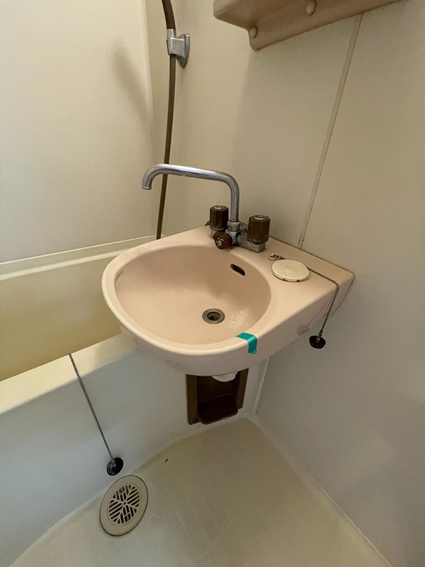 ホワイトパレス万年青 その他4