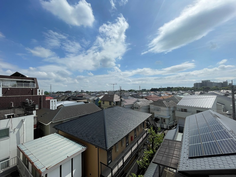 ホワイトパレス万年青 その他5