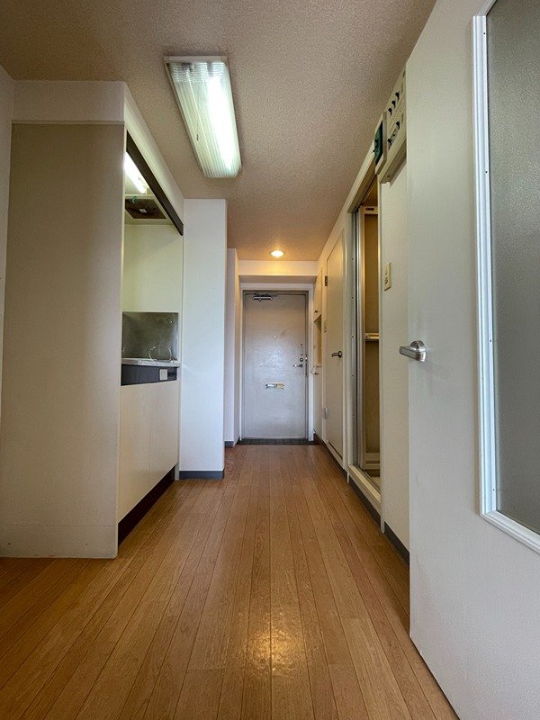 ホワイトパレス万年青 その他11