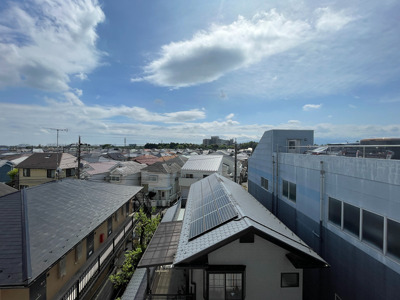 ホワイトパレス万年青 その他12