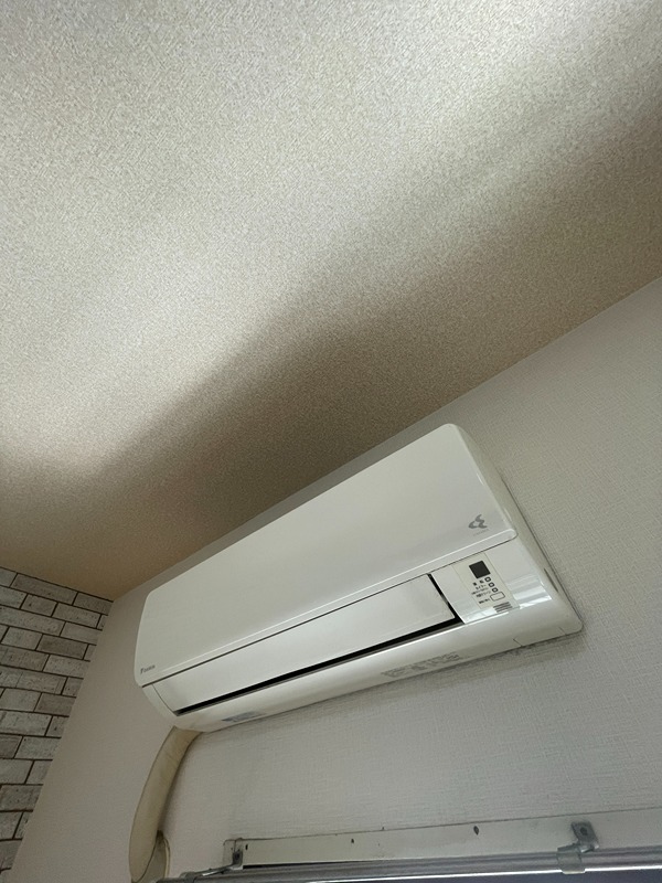 ホワイトパレス万年青 その他16