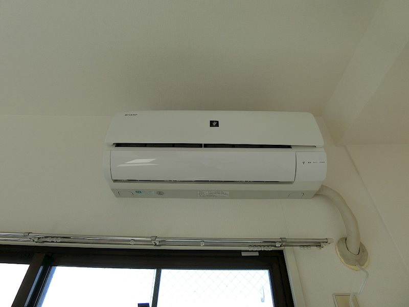 ホワイトパレス万年青 その他2