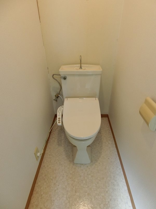 ホワイトパレス万年青 その他3