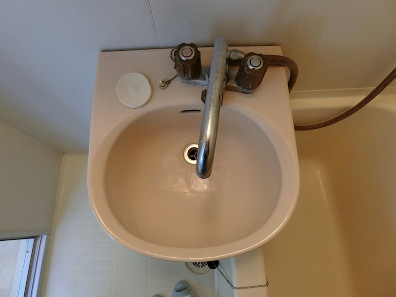 ホワイトパレス万年青 その他4