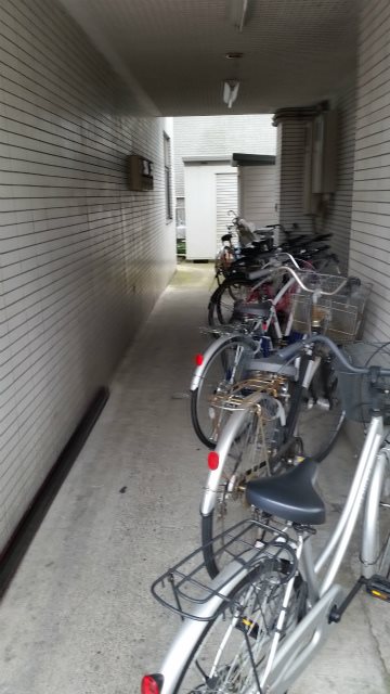 ホワイトパレス万年青 その他7