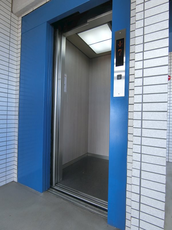 ホワイトパレス万年青 その他8