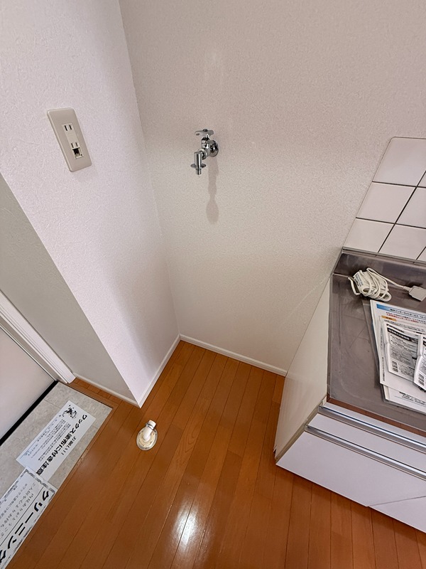 グレイスランド その他8