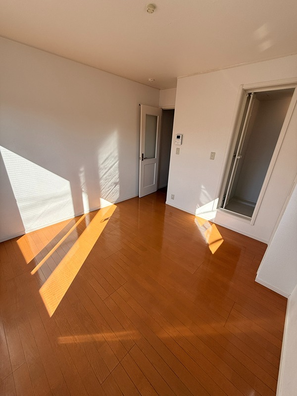 グレイスランド その他11