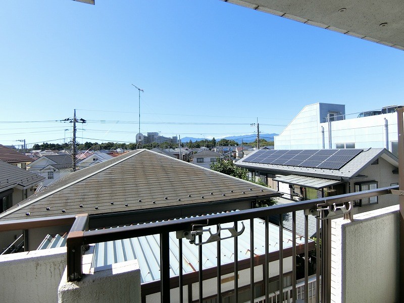 ホワイトパレス万年青 その他3