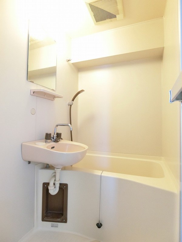 ホワイトパレス万年青 その他5