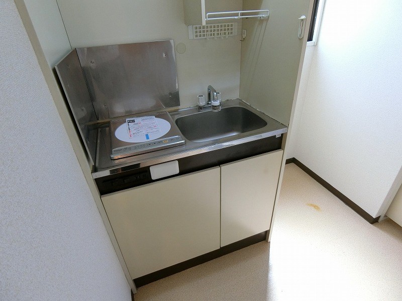 ホワイトパレス万年青 その他11