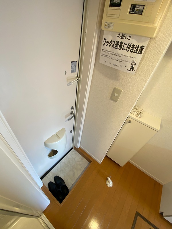 グレイスランド その他8